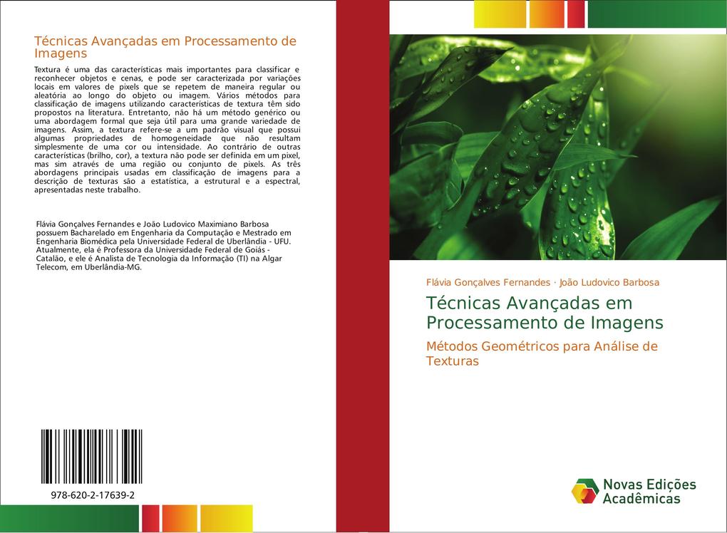 Técnicas Avançadas em Processamento de Imagens als Buch von Flávia Gonçalves Fernandes, João Ludovico Barbosa - Novas Edições Acadêmicas