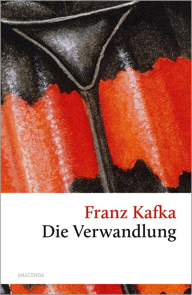 Die Verwandlung Franz Kafka - Bild 4