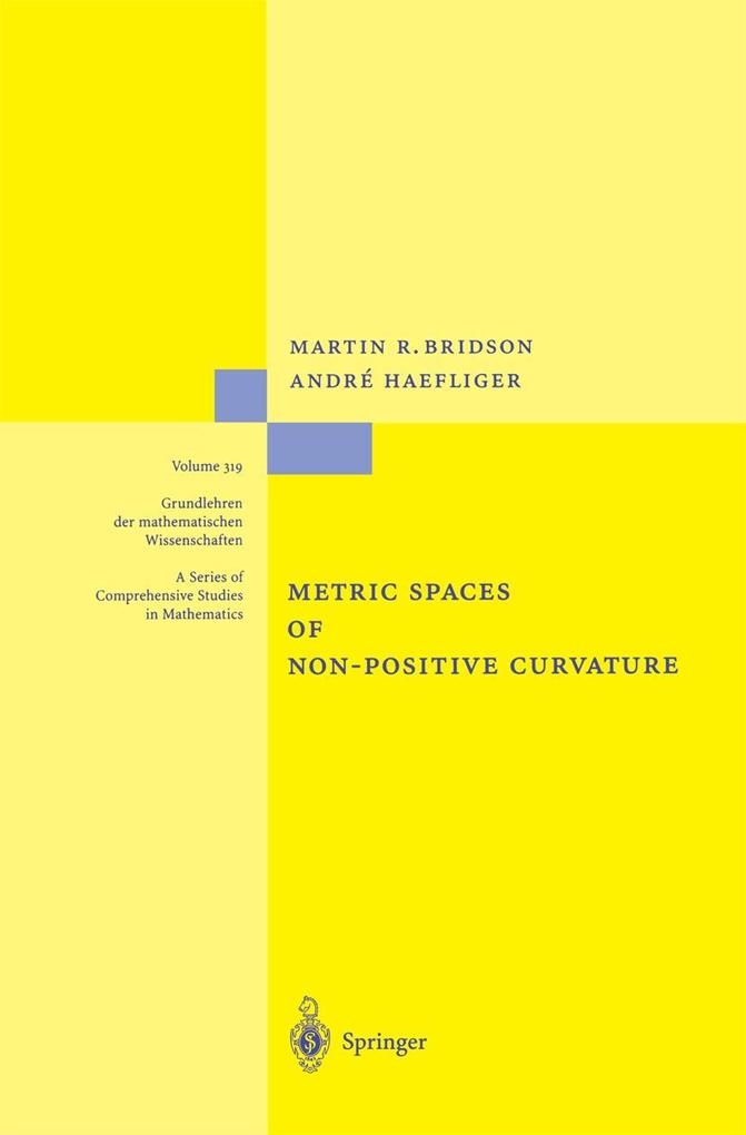 Metric Spaces of Non-Positive Curvature - Martin R. Bridson/ André Häfliger