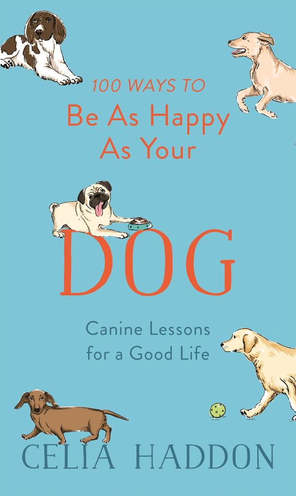 Hodder & Stoughton 100 Ways To Be As Happy As Your Dog