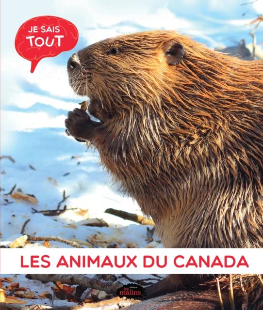 Je sais tout: Les animaux du Canada