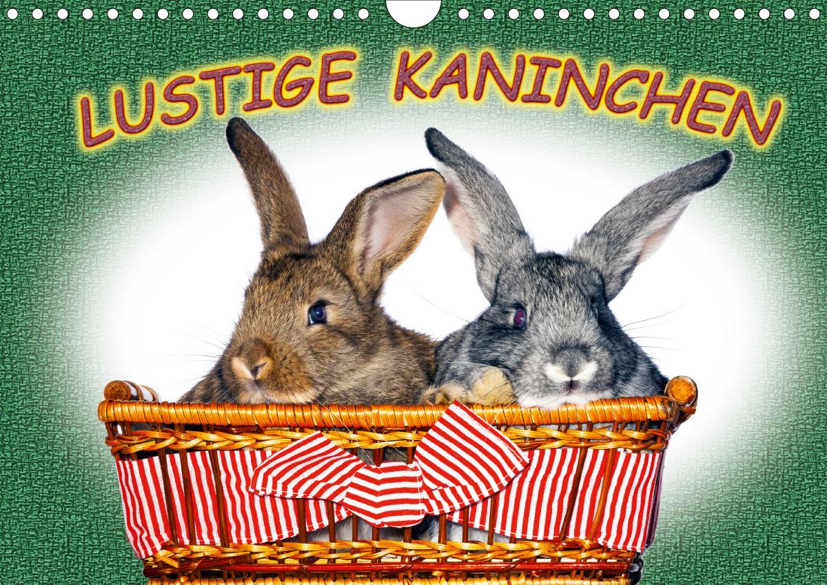 Lustige Kaninchen (Wandkalender 2020 DIN A4 quer)