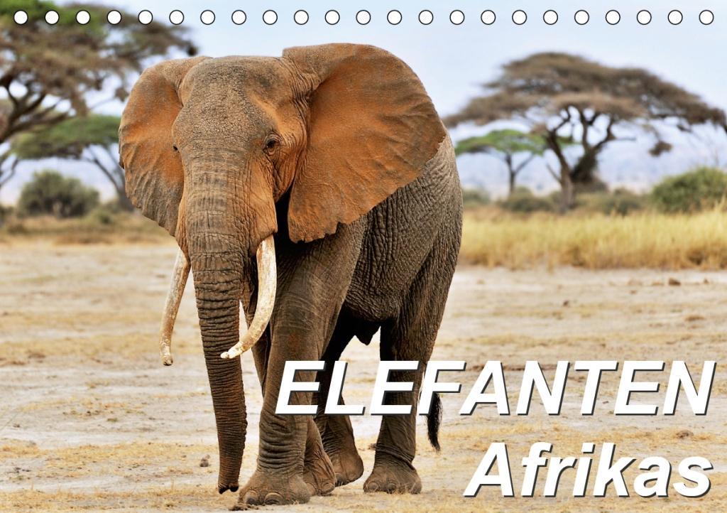 Elefanten Afrikas (Tischkalender 2020 DIN A5 quer)
