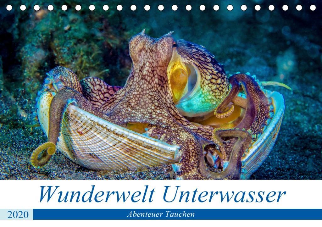 Wunderwelt Unterwasser (Tischkalender 2020 DIN A5 quer)