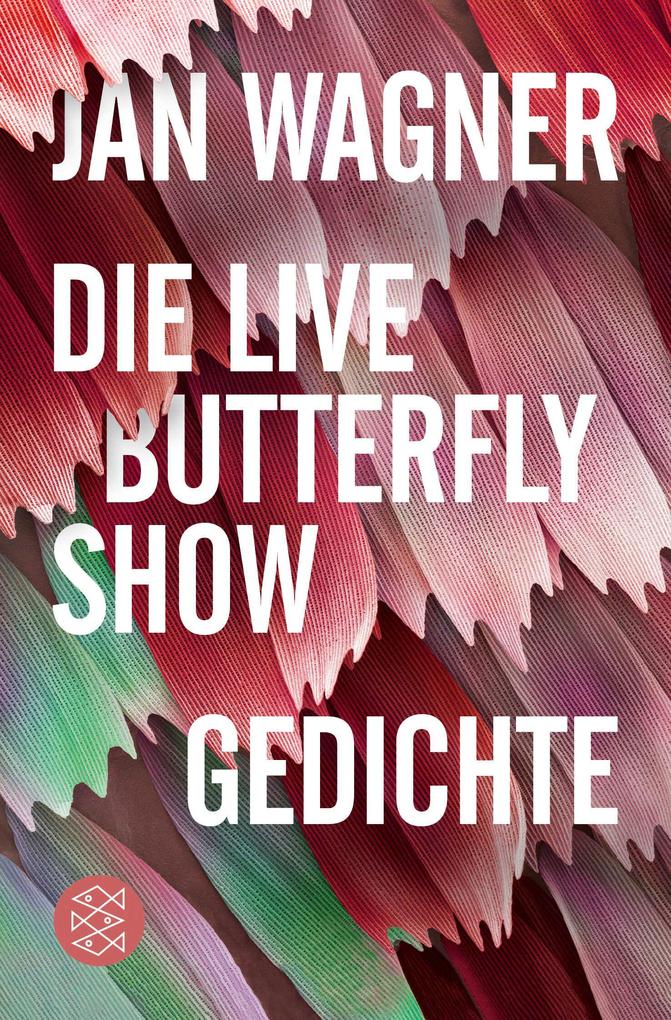 Fischer Taschenbuch Die Live Butterfly Show - Bild 6