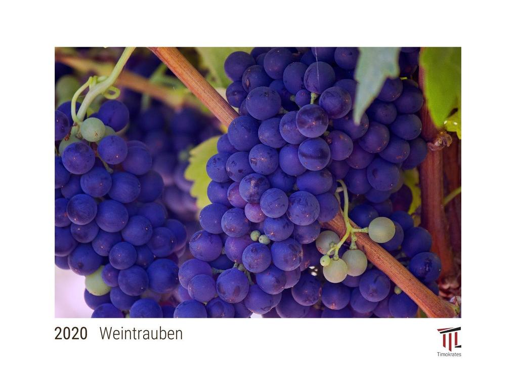 Weintrauben 2020 - White Edition - Timokrates Kalender Wandkalender Bildkalender - DIN A4 (ca. 30 x 21 cm)