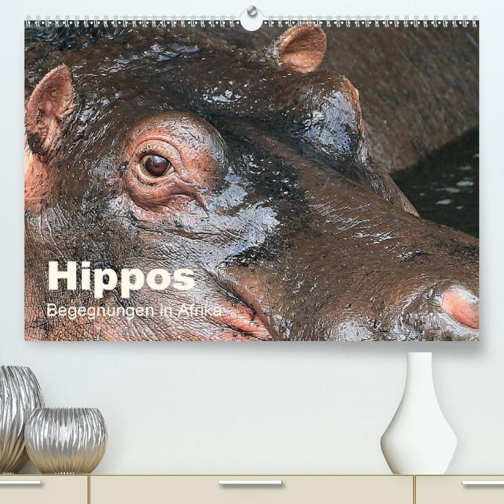 Hippos - Begegnungen in Afrika(Premium hochwertiger DIN A2 Wandkalender 2020 Kunstdruck in Hochglanz)