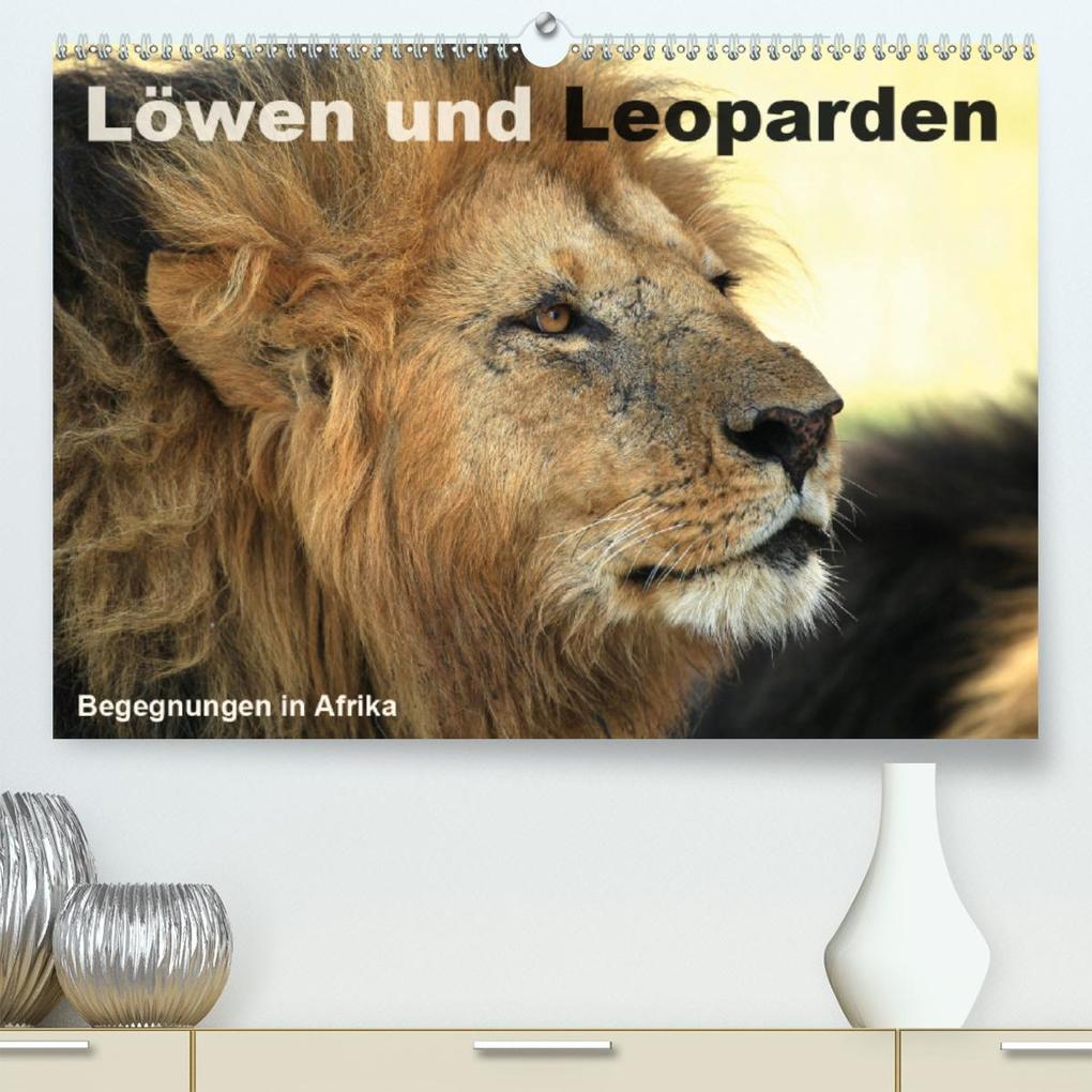 Löwen und Leoparden - Begegnungen in Afrika(Premium hochwertiger DIN A2 Wandkalender 2020 Kunstdruck in Hochglanz)