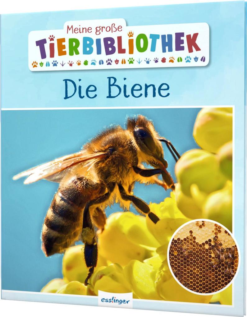 Esslinger Meine Grosse Tierbibliothek: Die Biene, Kinderbücher Von Paul Starosta - Bild 6