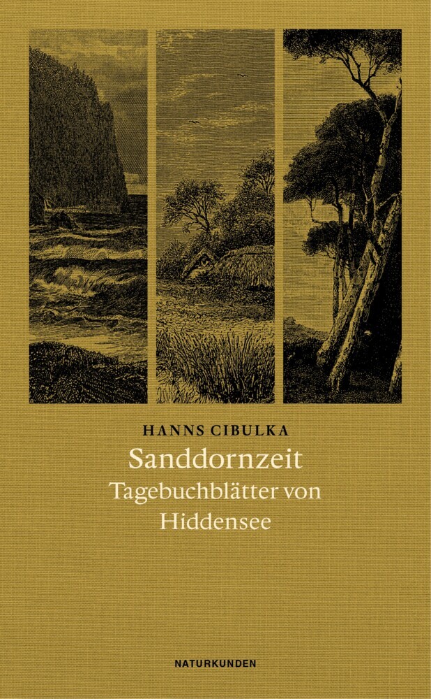 Matthes & Seitz Verlag Sanddornzeit - Bild 5