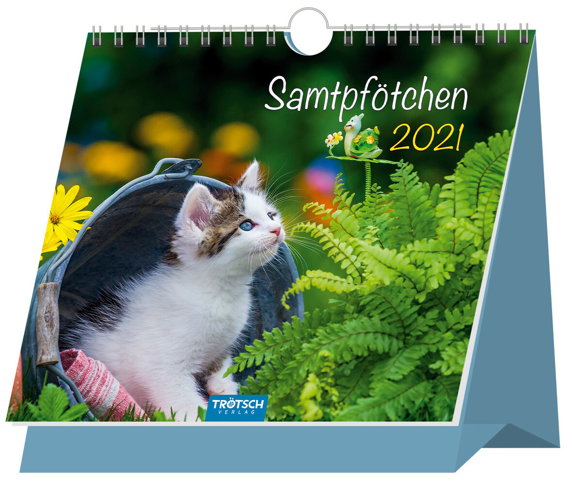 Aufstellkalender Samtpfötchen 2021
