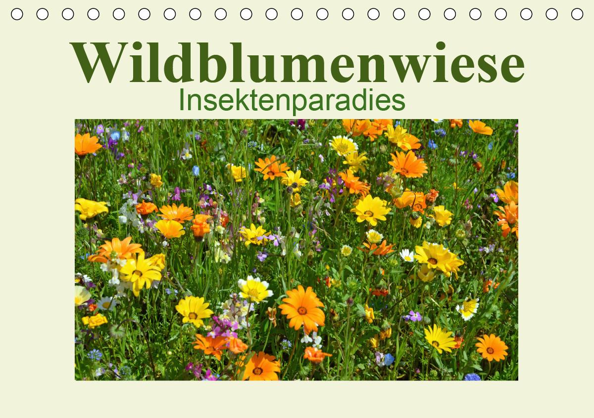 Wildblumenwiese Insektenparadies (Tischkalender 2021 DIN A5 quer)