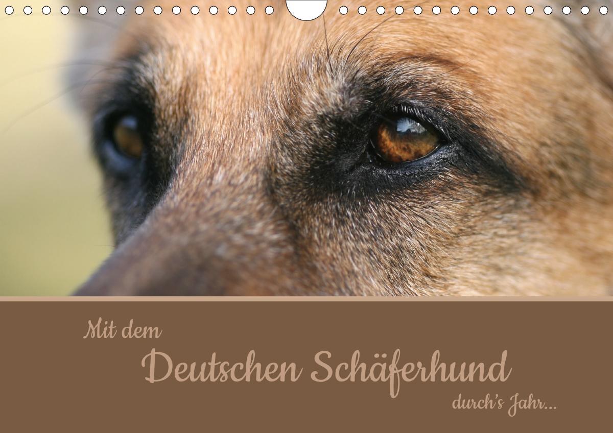 Mit dem Deutschen Schäferhund durch's Jahr (Wandkalender 2021 DIN A4 quer)