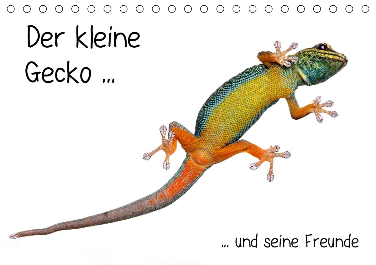 Der kleine Gecko und seine Freunde / CH-Version (Tischkalender 2021 DIN A5 quer)