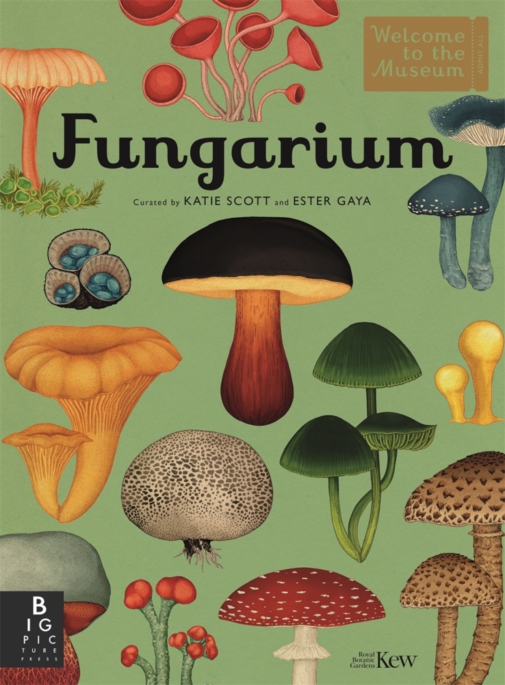 Templar Publishing Fungarium - Bild 4