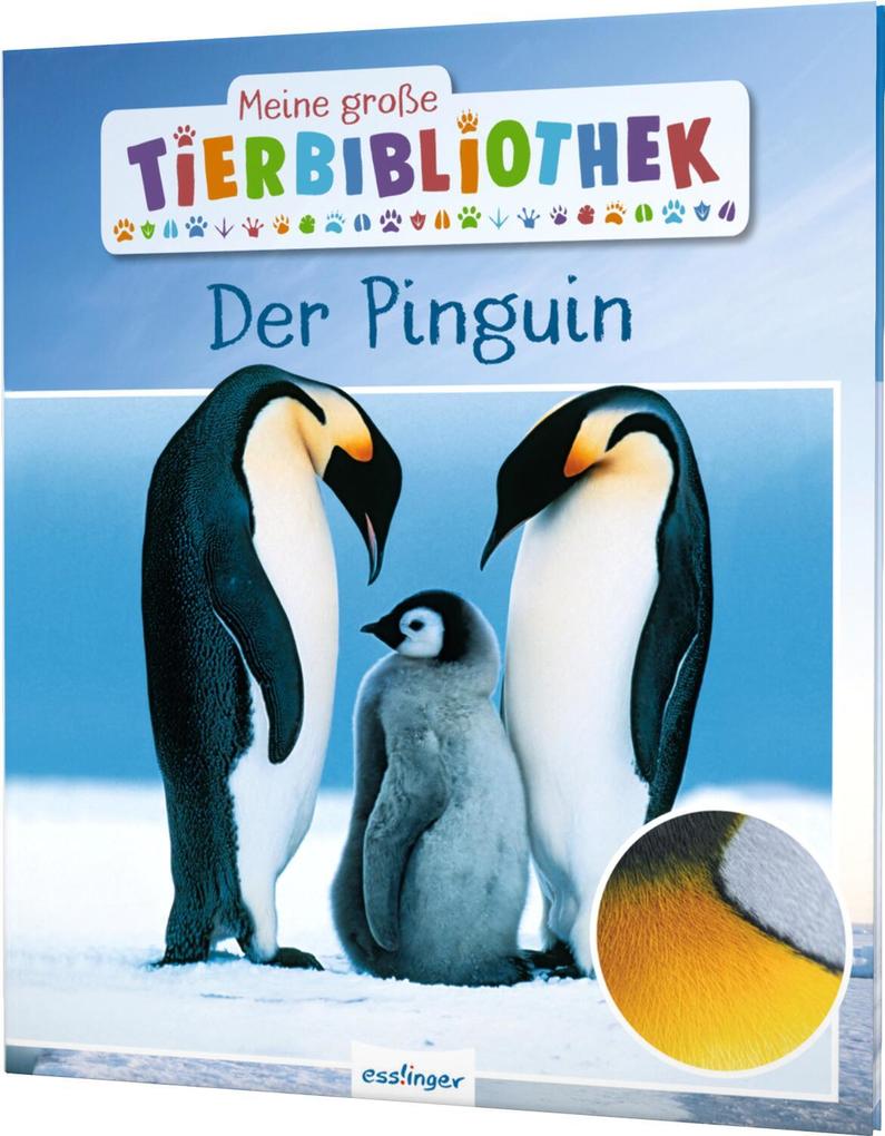 Meine große Tierbibliothek: Der Pinguin Jens Poschadel - Bild 5