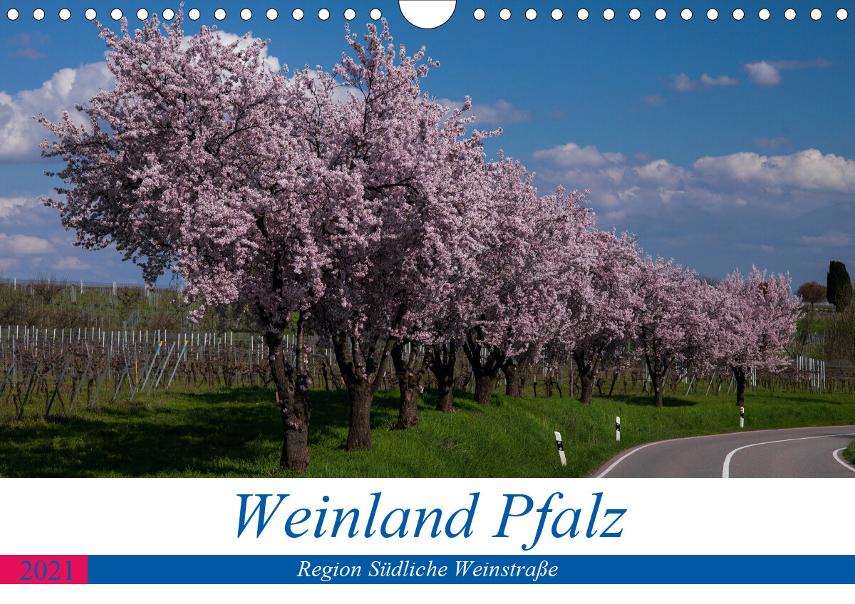Weinland Pfalz - Region Südliche Weinstraße (Wandkalender 2021 DIN A4 quer)