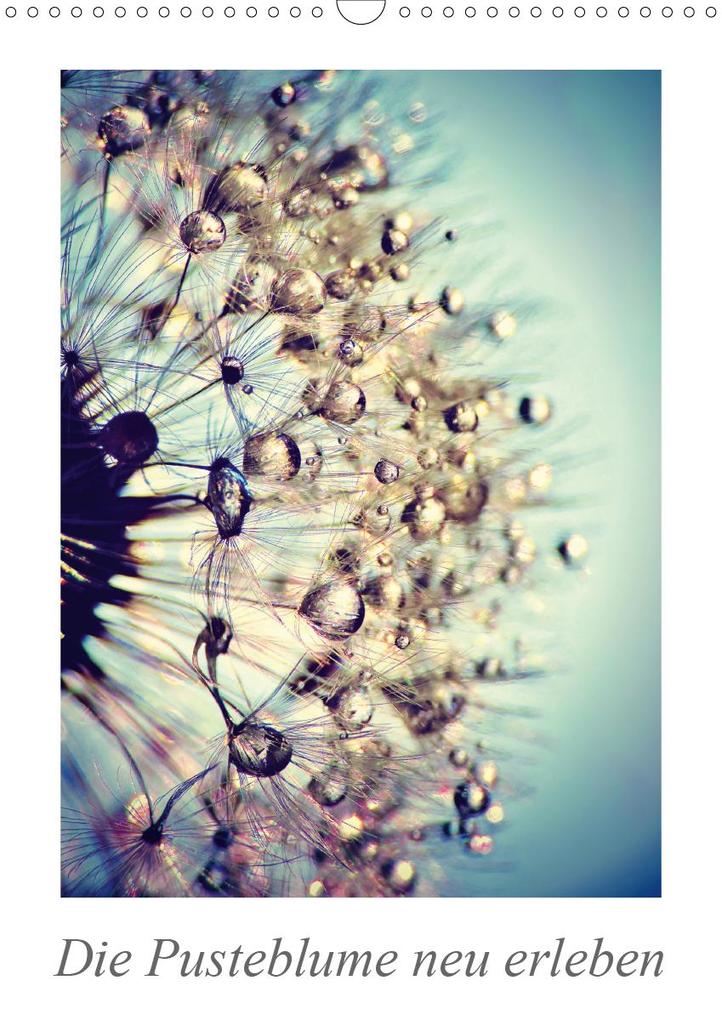 Die Pusteblume neu erleben (Wandkalender 2021 DIN A3 hoch)