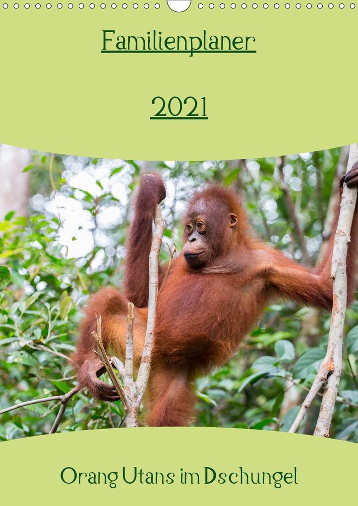 Familienplaner 2021 - Orang Utans im Dschungel (Wandkalender 2021 DIN A3 hoch)