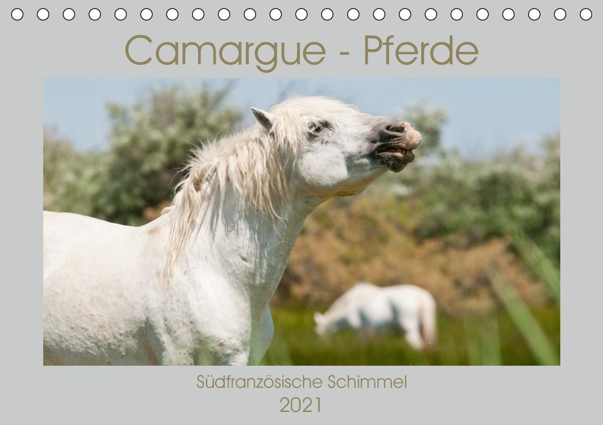 Camargue-Pferde - Südfranzösische Schimmel (Tischkalender 2021 DIN A5 quer)
