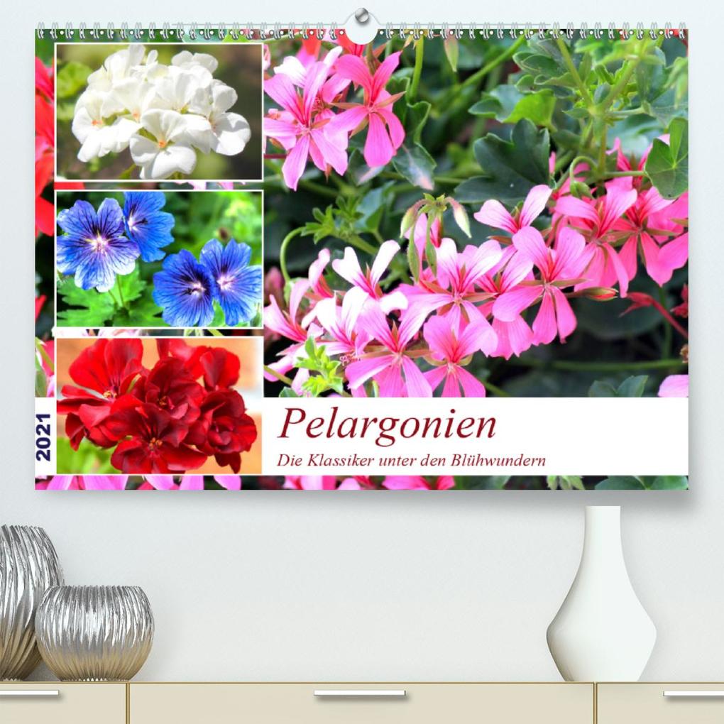 Pelargonien. Die Klassiker unter den Blühwundern (Premium hochwertiger DIN A2 Wandkalender 2021 Kunstdruck in Hochglanz)