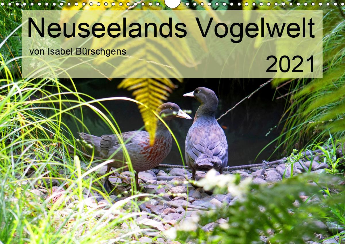Neuseelands Vogelwelt (Wandkalender 2021 DIN A3 quer)