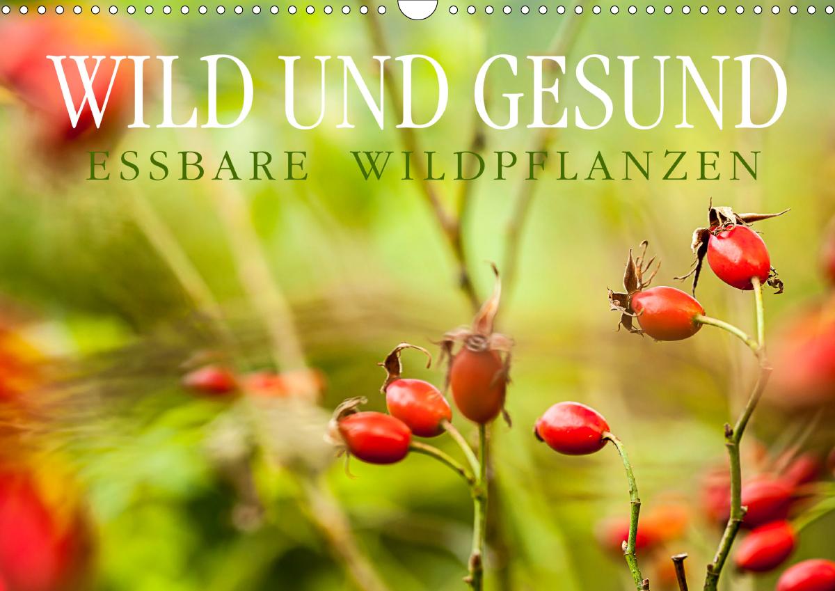 WILD UND GESUND Essbare Wildpflanzen (Wandkalender 2021 DIN A3 quer)