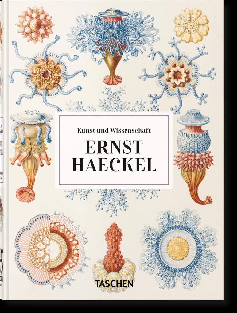 Ernst Haeckel: Kunst und Wissenschaft. 45th Ed. (45th Edition) - Bild 6