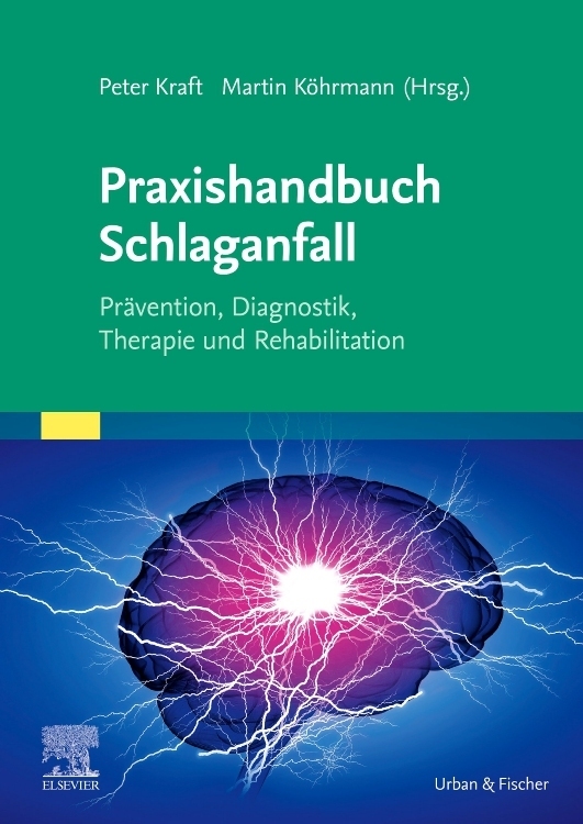 Praxishandbuch Schlaganfall Martin Köhrmann - Bild 5