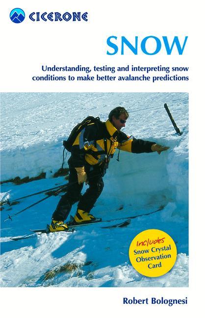 Snow: Assessing and Understanding Snow Conditions to Predict Avalanches Better - Robert Bolognesi