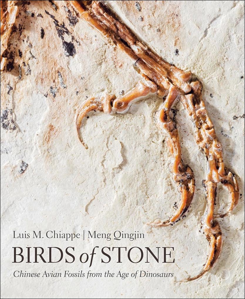 Birds of Stone - Luis M. Chiappe