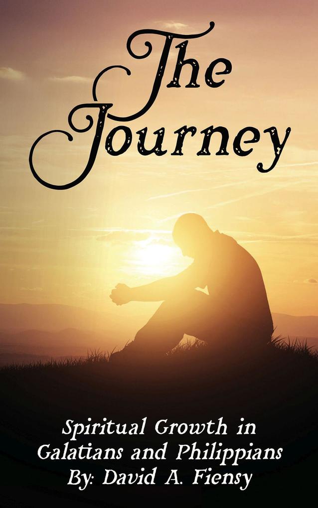 The Journey - David Fiensy