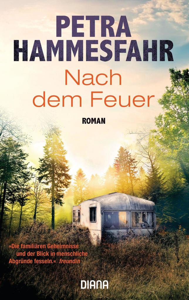 Diana Taschenbuch Nach Dem Feuer - Bild 4