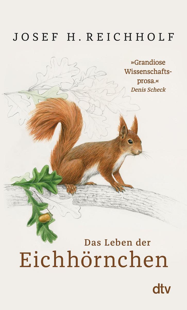 Dtv Verlagsgesellschaft Das Leben Der Eichhörnchen - Bild 8