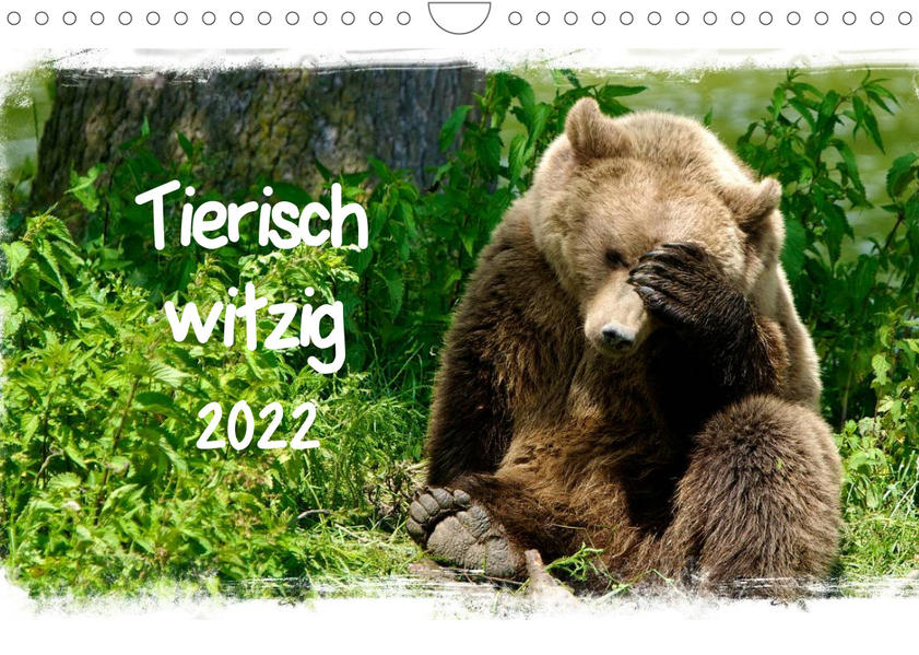 Tierisch witzig (Wandkalender 2022 DIN A4 quer) - Elsner / Kottal/ Axel / Elsner/ Claudia Kottal