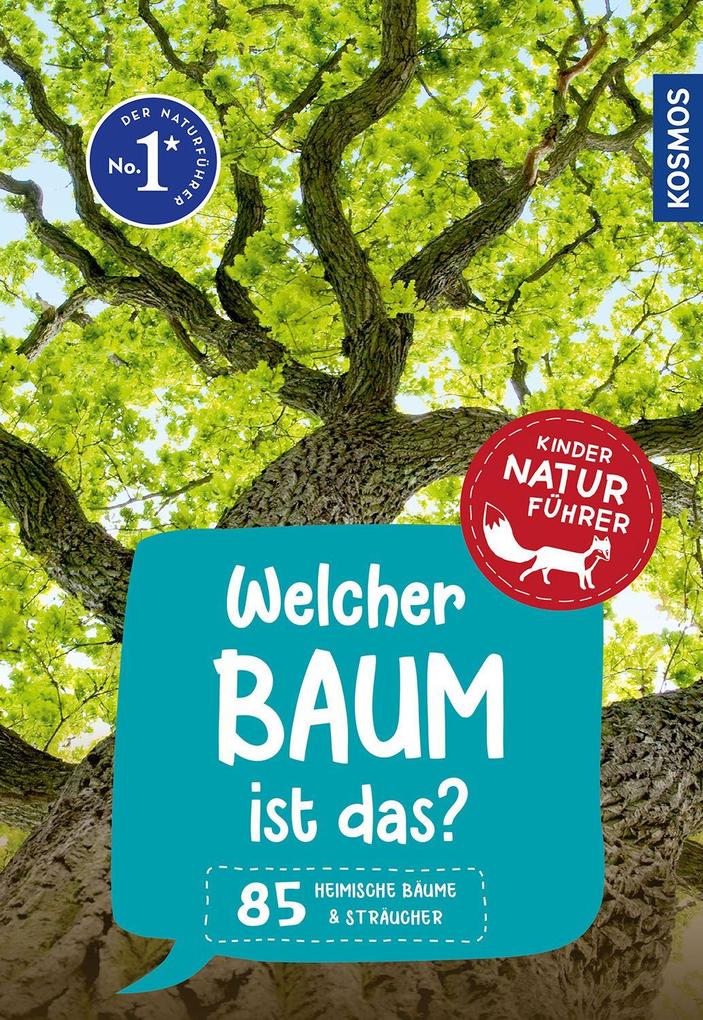 Welcher Baum ist das? Kindernaturführer Holger Haag - Bild 10