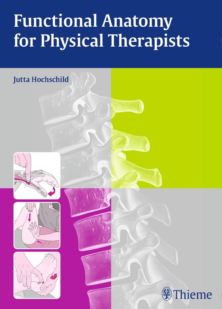 Functional Anatomy for Physical Therapists - Jutta Hochschild