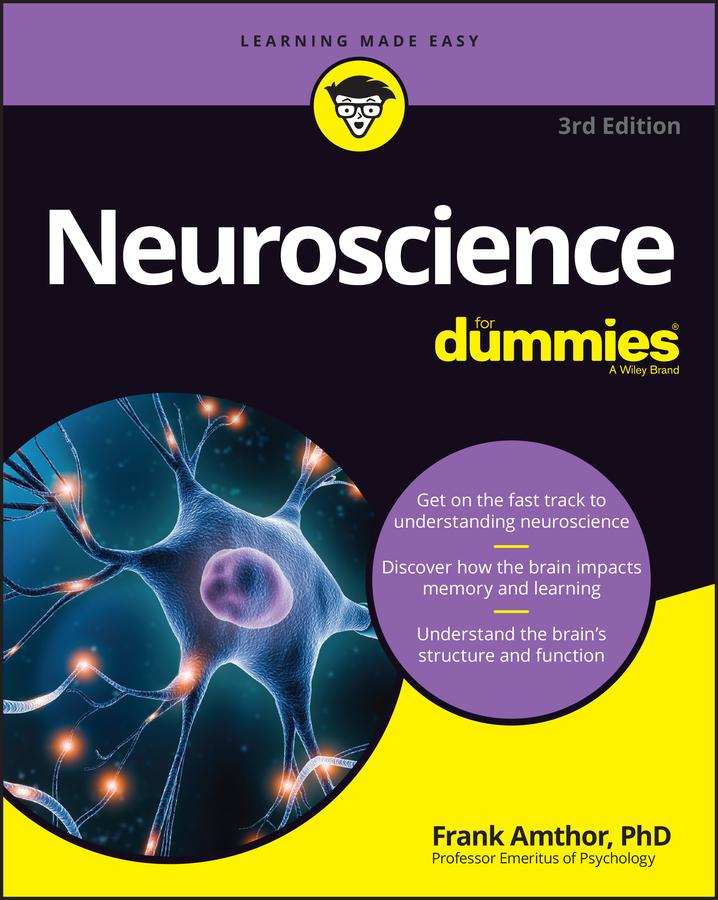 Wiley John + Sons Neuroscience For Dummies - Bild 4