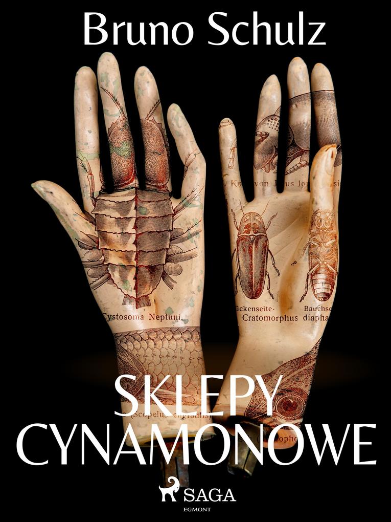 Sklepy cynamonowe - zbiór - Bruno Schulz