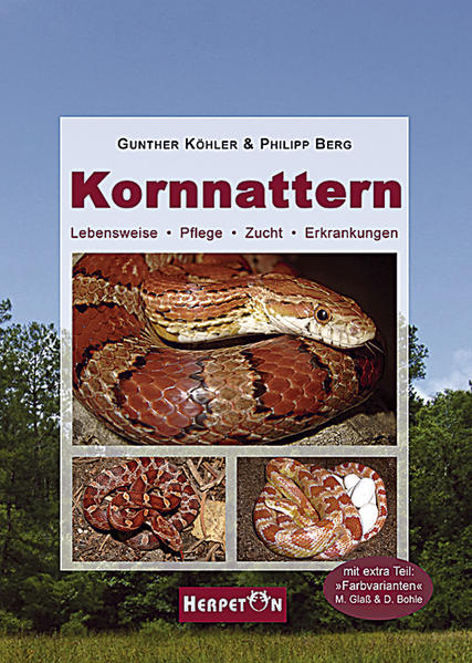 Kornnattern - Gunther Köhler/ Philipp Berg/ Günther Köhler