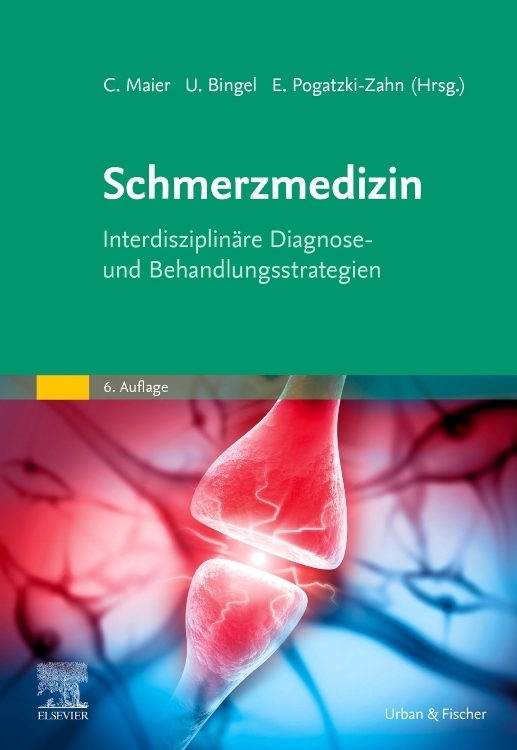 Schmerzmedizin: Interdisziplinäre Diagnose- und Behandlungsstrategien - Bild 5