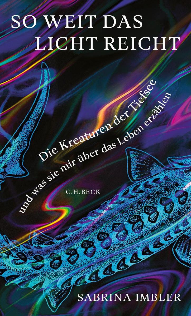 C.h. Beck Licht So Weit Das Reicht - Bild 7
