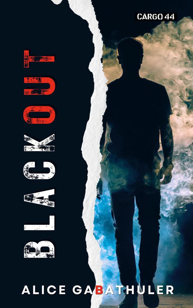 Alice Gabathuler ~ Blackout - Bild 4