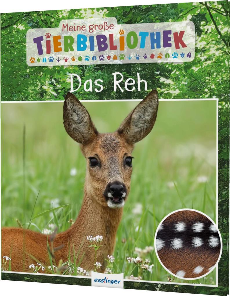 Dr. Jens Poschadel: Meine große Tierbibliothek: Das Reh - gebunden - Bild 5