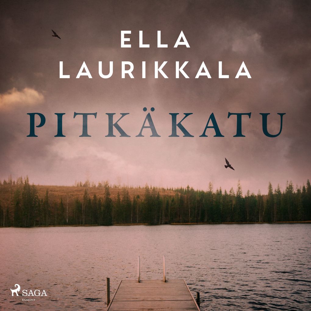 Pitkäkatu - Ella Laurikkala