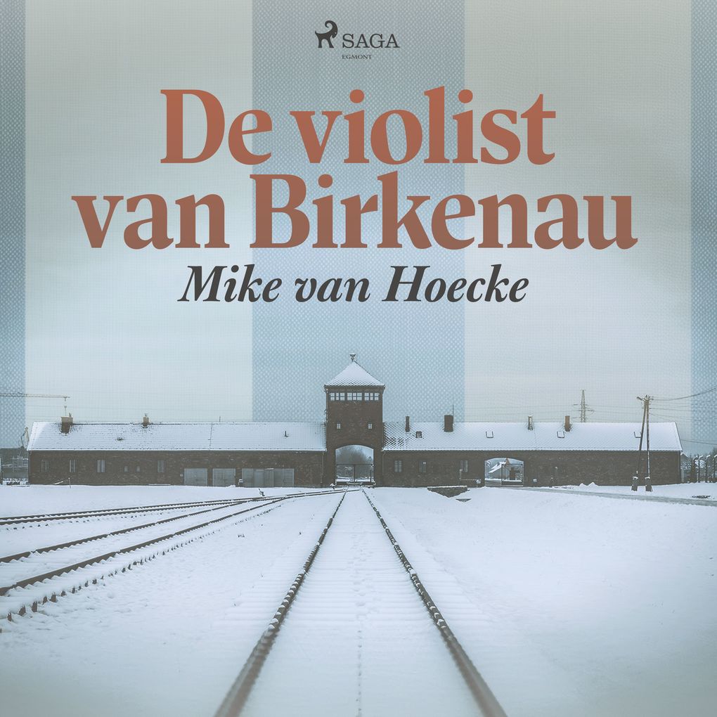 De violist van Birkenau - Mike van Hoecke
