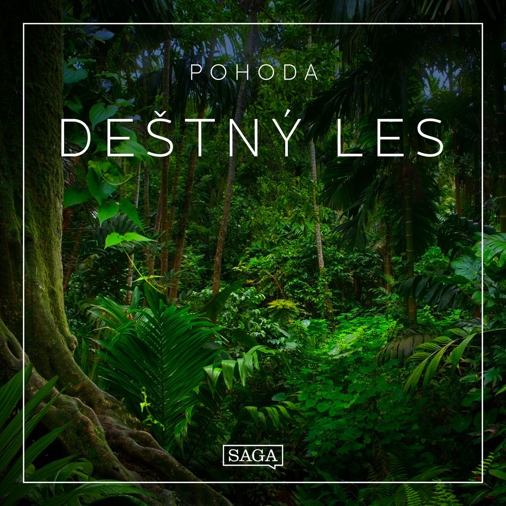 Pohoda - De¨tný les - Rasmus Broe