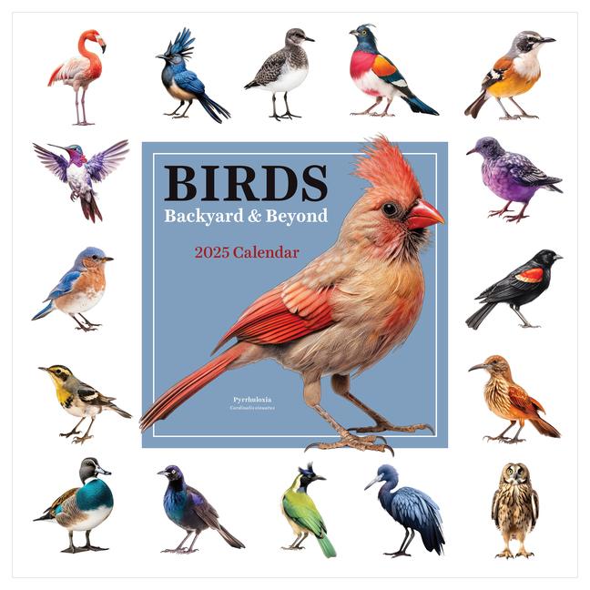 eBook.de