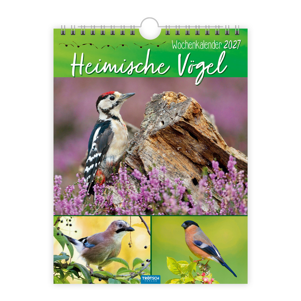 TRÖTSCH - Wochenkalender zum Hängen Heimische Vögel 2027 | Wandkalender | KG - Image 9