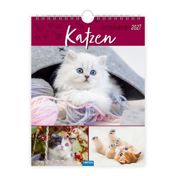 Trötsch Verlag Gmbh Trötsch - Wochenkalender Zum Hängen Katzen 2027 - Image 8